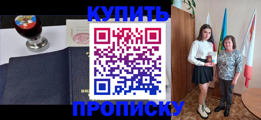 найти адрес прописки в Полярных Зорях